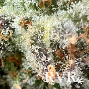 Photo of Exotic Chambers