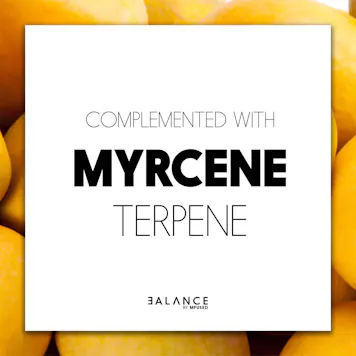 Photo of BALANCE - Mango Splash 20:1 High CBD Cartridge