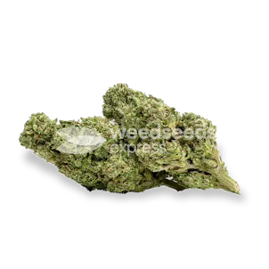 Photo of Cherry AK Feminized Seeds