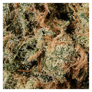 Photo of Kolab Project x Lotus Cannabis Co. Tranquil Elephantizer - 3.5g