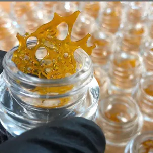 Photo of Shatter - Jenny Kush