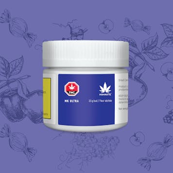 Photo of Namaste MK Ultra