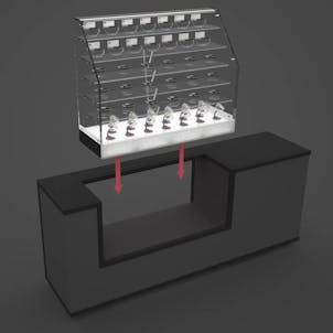 Photo of ‘Ashes’ Showcase Insert™