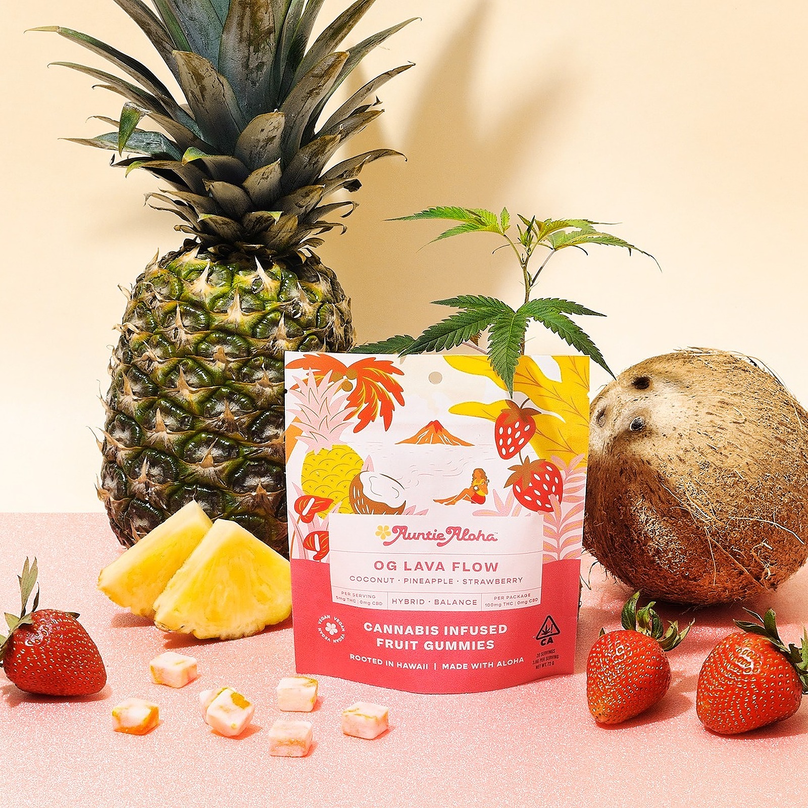 婆のあばら家/Auntie's Hovel  LRW日本語foil 日)【Foil】婆のあばら家 / Auntie's Hovel【LRW】 No.267｜MtG通販