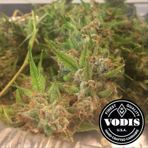 Photo of UK Cheese