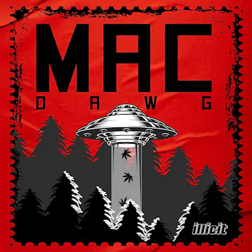 Photo of MAC Dawg 28G Flower