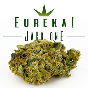 Photo of Jack One (J1)