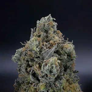 Photo of Narvona White | Gas Breath Flower