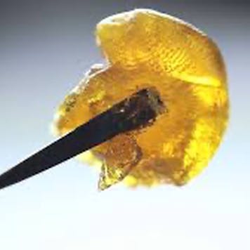 Photo of Cannabis Extraction Certification Program