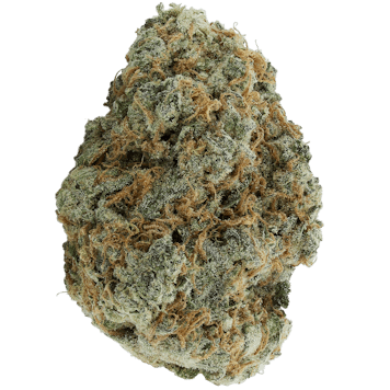 Photo of Citrus Skunk - 3x0.5g Pre-Rolls - Saskatchewan