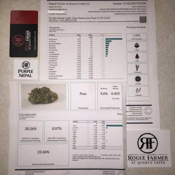 Photo of Purple Nepal