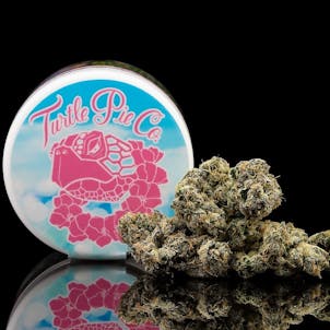 Photo of Turtle Pie Co 'Sidewalk Sunday'