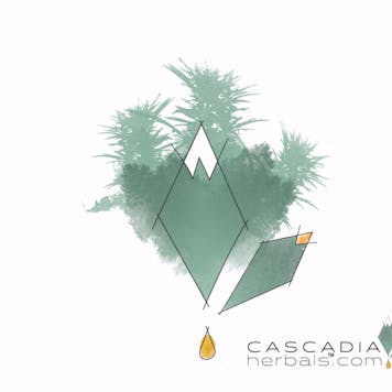 Photo of Blue Dream Tincture