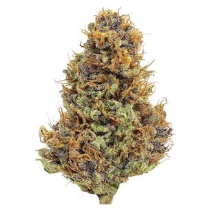 Product image for Purple Hindu Kush