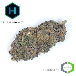 Photo of Mr. Nice (5103)