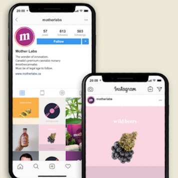 Photo of Social Media Management