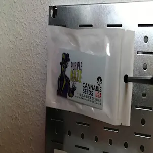 Photo of PURPLE HAZE - 10 PACK