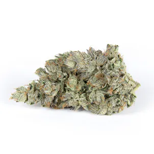 Photo of Pink Rockstar