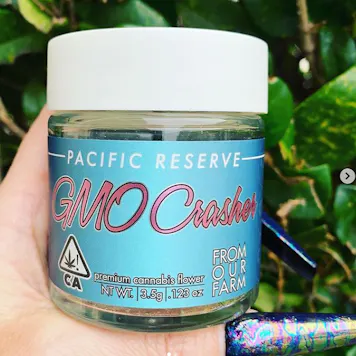 Photo of GMO Crasher