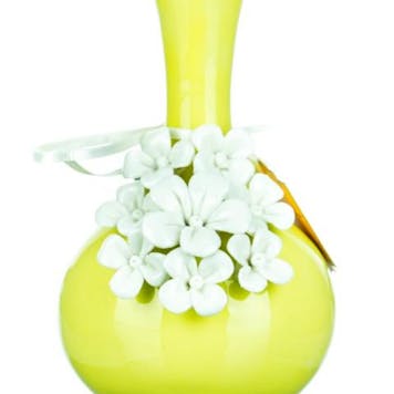 Photo of 6" Phoebe" Water Pipe