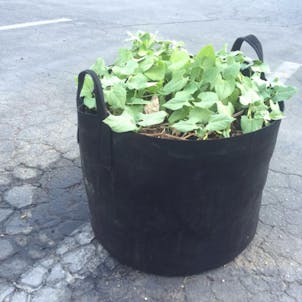 Photo of 10-Gallon Aeration Fabric Pot/Plant Grow Bag w/Handles (Black)