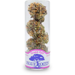 Photo of Grape Ape