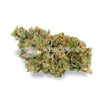 Photo of AK 47 Autoflower Seeds