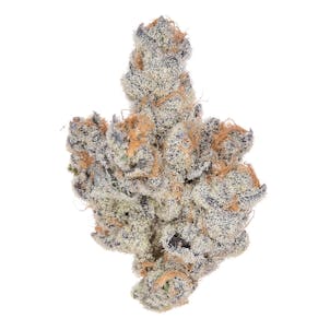 Photo of Tropic Heat