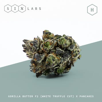 Photo of Truffle Cake