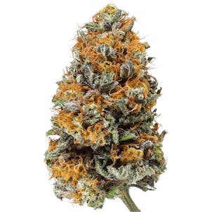 Photo of Indoor Strawberry Cheesecake