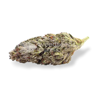 Photo of Blackberry Kush Autoflower Seeds
