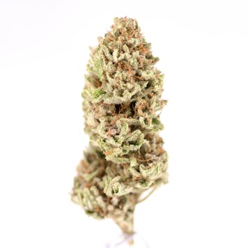 Photo of Pink Lemonade