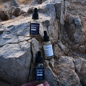 Photo of Pet CBD Oil Tincture