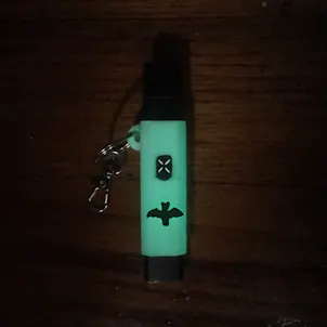 Photo of Terrapin PAX ERA Case + Keychain "Halloween Bat", Glow-in-the-Dark