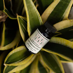 Photo of 25 mg CBD Softgels, 30 count