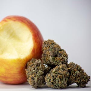 Photo of Forbidden Fruit
