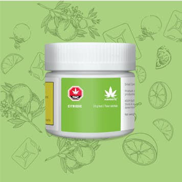 Photo of Namaste Citrique