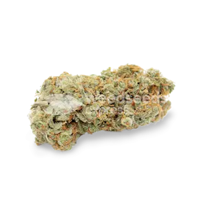 Photo of Sexxpot Feminized Seeds