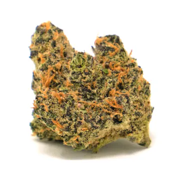 Photo of Kimbo Kush