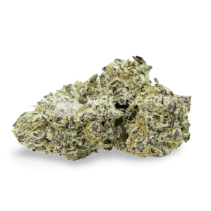 Photo of Purple Urkle Feminized Seeds