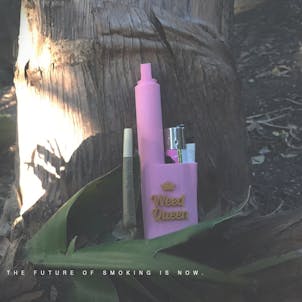 Photo of Terrapin "Weed Queen" Lighter and Blunt Travel Case *Customizable