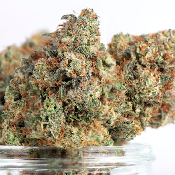 Photo of Pooty Tang Flower