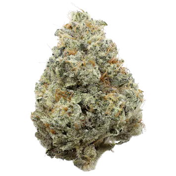 Photo of Mocha OG - 10x0.35g Pre-Rolls - Saskatchewan