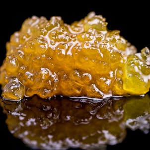 Photo of Suckles Live Sugar