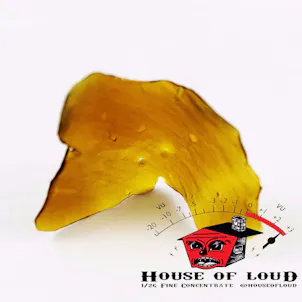 Photo of 9 lb. Hammer Shatter