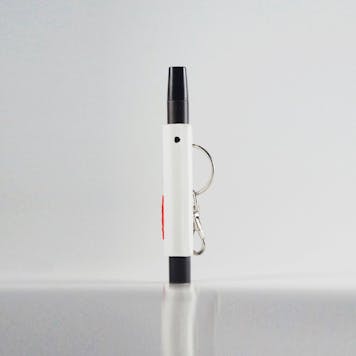 Photo of Terrapin PAX ERA Case + Keychain, "Kiss Me Lips" *Customizable