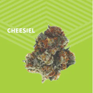 Photo of Cheesiel