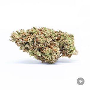 Photo of City of God