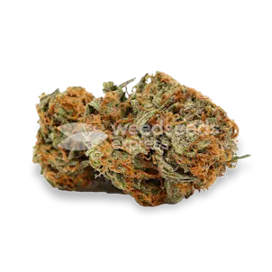 Photo of Grease Monkey Feminized Seeds