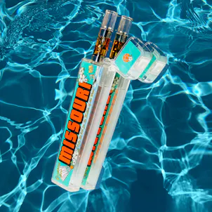 Photo of Timeless Missouri Flip Case Combo